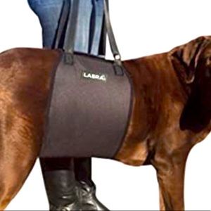 🐶 NWOT 🐕 LABRA 👩‍⚕️ Vet approved Sling🐶Xxl